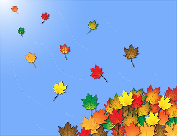 Leaves illustration